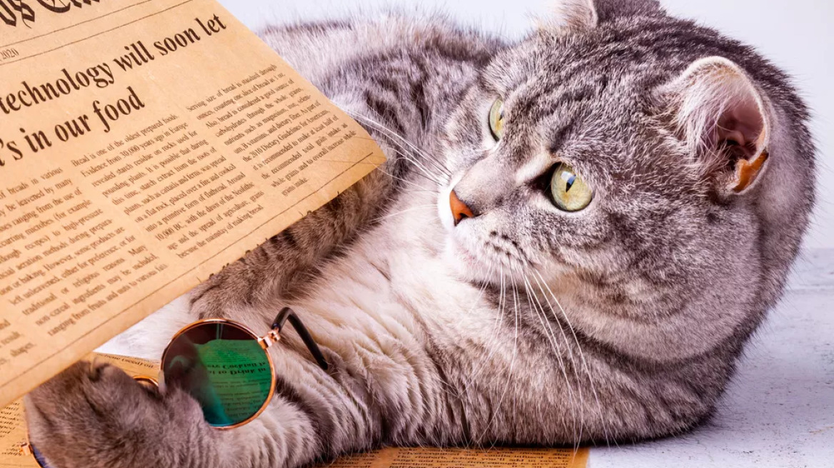 «Πωλείται μπόξερ, ευάερο, ευήλιο» – Όταν τα ζώα συνδυάζονται με τις μικρές αγγελίες