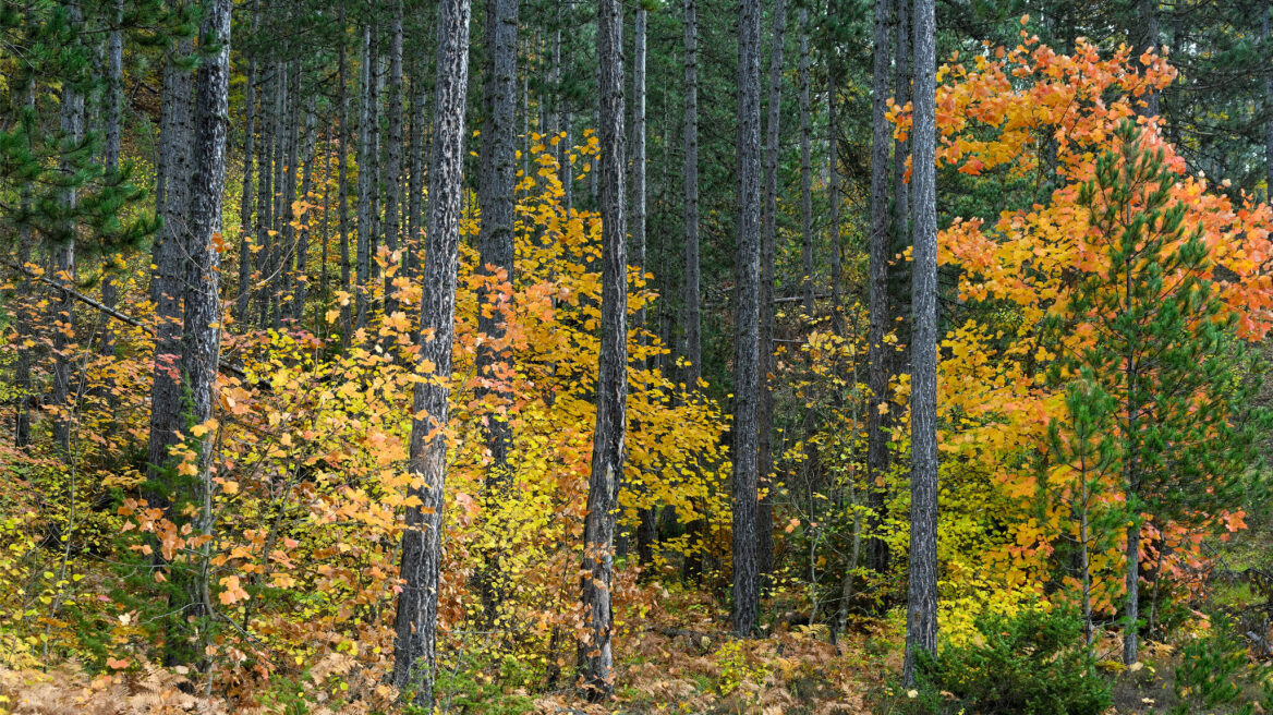 Συναρπαστικές ορεινές διαδρομές στον Γράμμο 