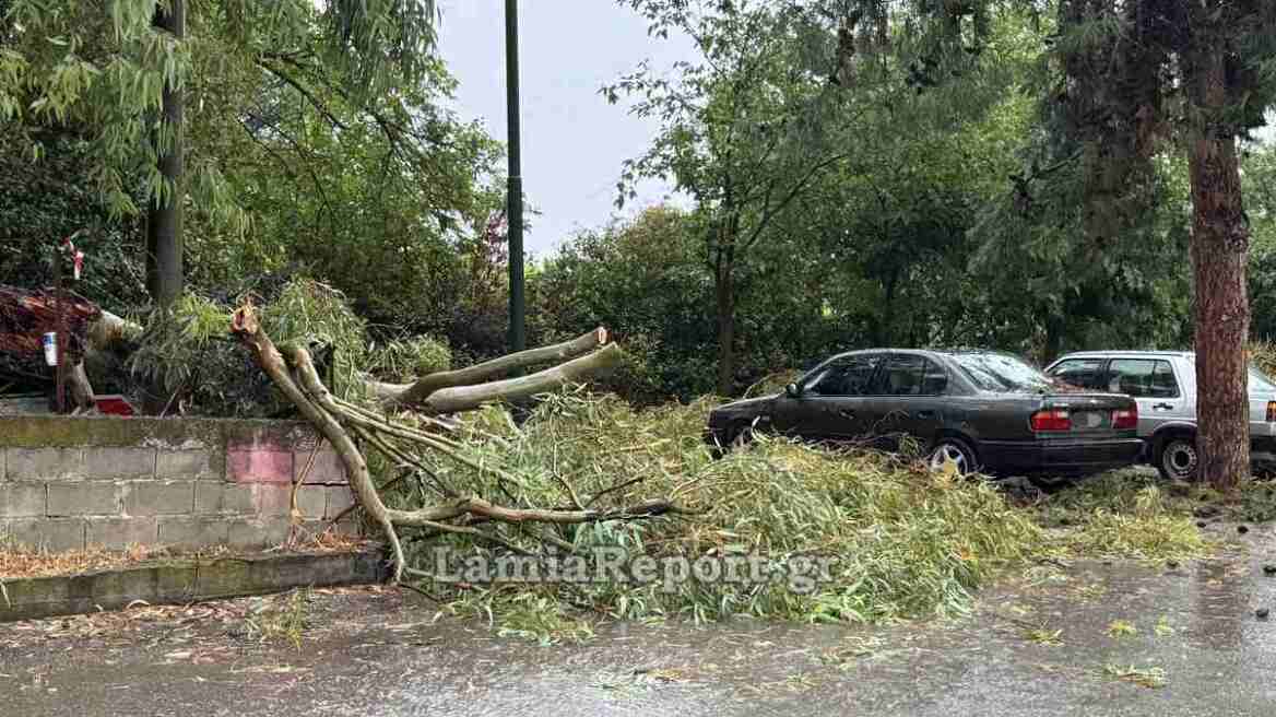 Προβλήματα από ισχυρό μπουρίνι στη Λαμία: Πτώσεις δέντρων και διακοπές ρεύματος