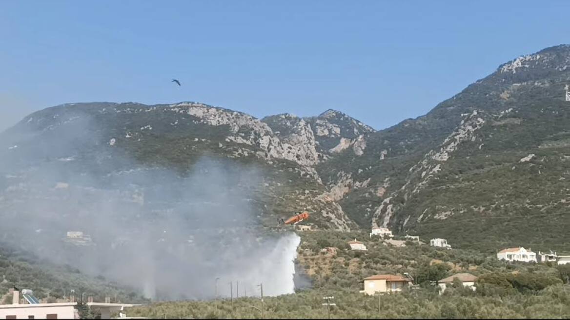 Φωτιά τώρα στην περιοχή Ριζά Μεσσηνίας - Σηκώθηκαν 3 εναέρια
