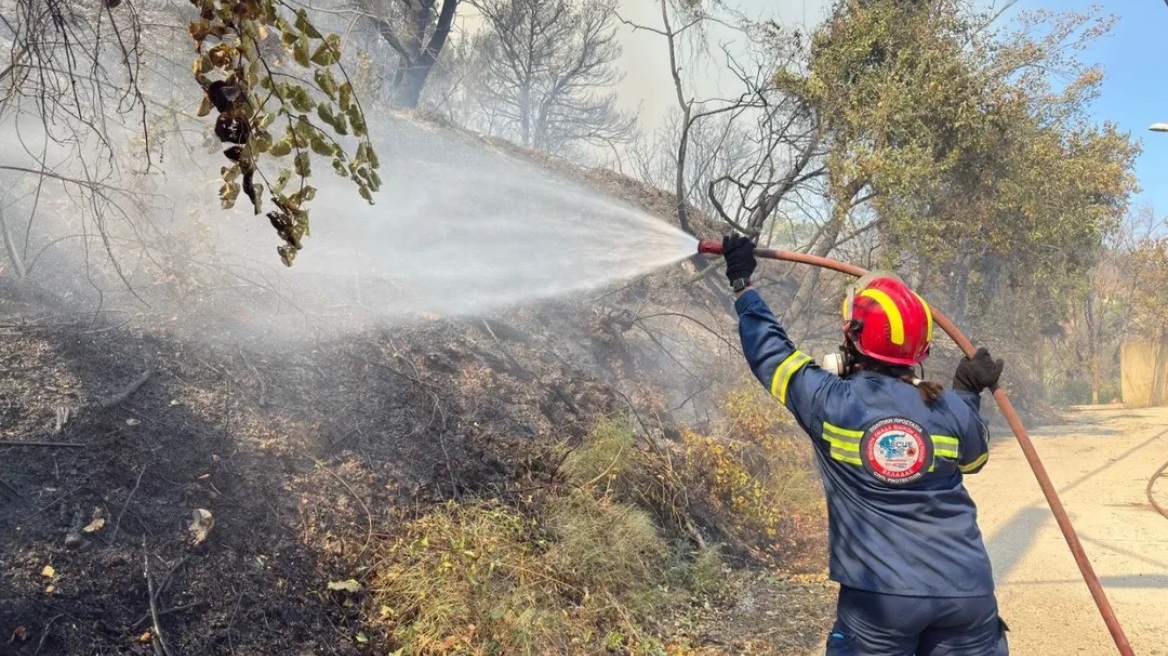 Κάτω Αχαΐα: Εθελοντές της ΕΠΟΜ στη μάχη με τις φλόγες – «Μαζί, μπορούμε να σώσουμε ό,τι αγαπάμε»
