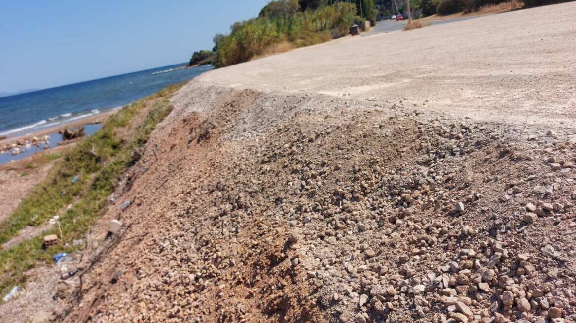 Εκχερσώσεις στην παραλία της Νέας Μάκρης για την κατασκευή αντλιοστάσιου λυμάτων του βιολογικού καθαρισμού 