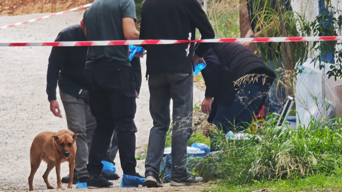 Άγρια δολοφονία ηλικιωμένης στη Σαλαμίνα: Τη χτύπησαν με μπουκάλι στο κεφάλι - Έχει και τραύματα από μαχαίρι στα χέρια της