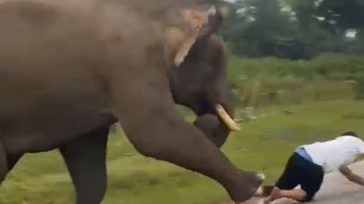 Τουρίστας πήγε να βγάλει selfie με ελέφαντα στην Ινδία και το μεγάλο ζώο τον ποδοπάτησε - Δείτε βίντεο