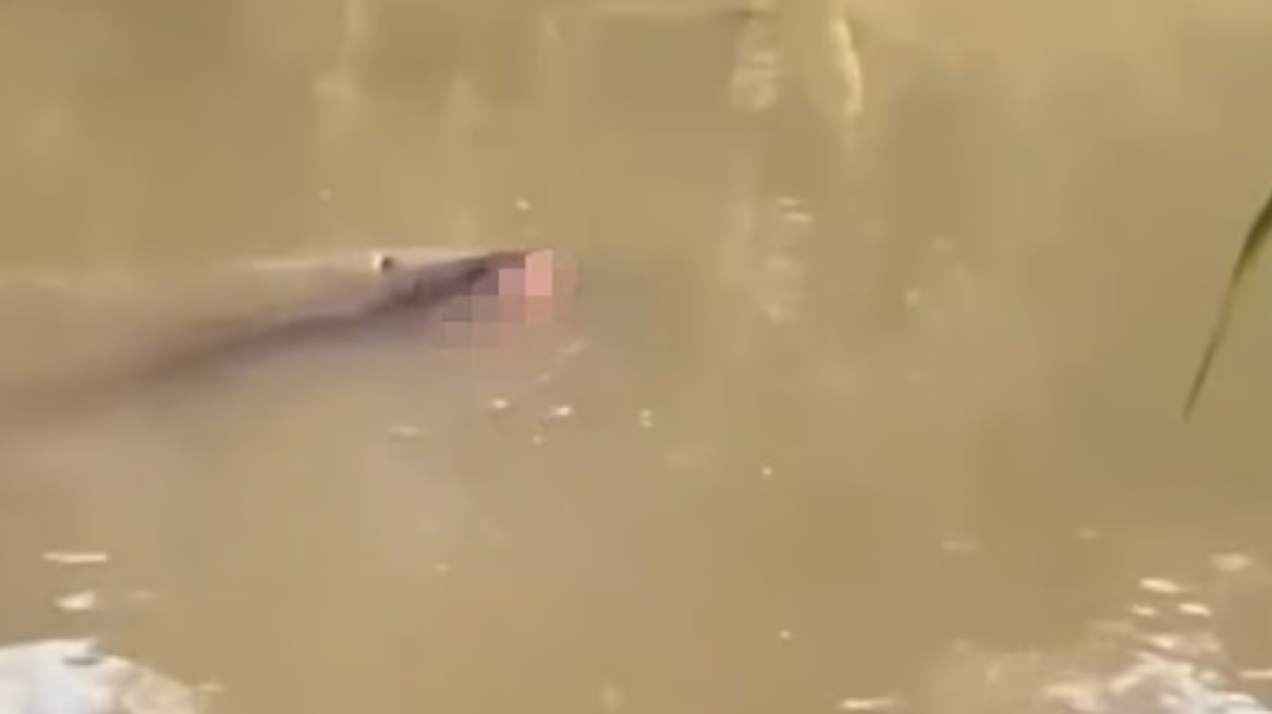 Ινδονησία: Τραγικός θάνατος για 53χρονο - Τον άρπαξε κροκόδειλος σε ποτάμι, έδωσαν μάχη οι συγγενείς για τη σορό