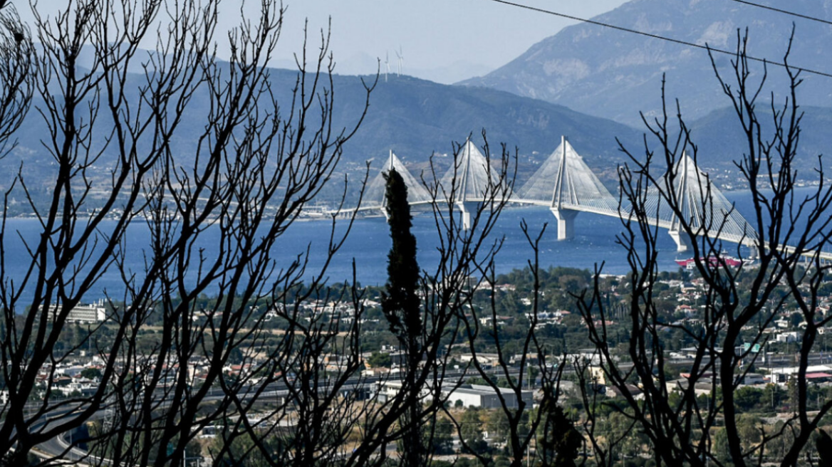 Φωτιά στην Αχαΐα: Οικονομικό βοήθημα για τους πληγέντες της πυρκαγιάς στην Πάτρα