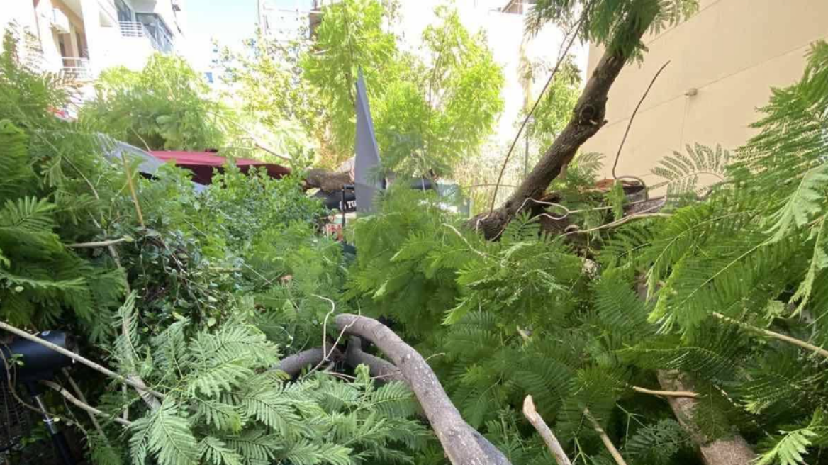 Ισχυροί άνεμοι έριξαν το δέντρο στην πλατεία Αγίας Ειρήνης, λέει ο δήμος Αθηναίων - Προειδοποίηση για τη στάθμευση