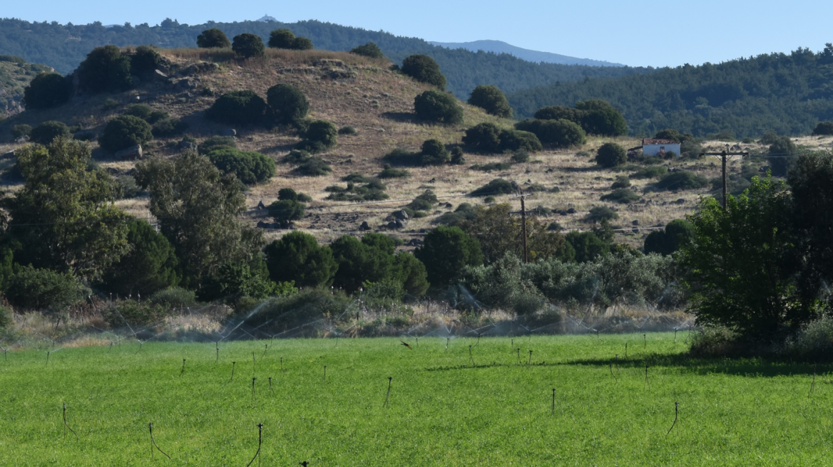 Παραχώρηση 252 στρεμμάτων για την ανασκαφή και ανάδειξη της αρχαίας Αρίσβης στη δυτική Λέσβο
