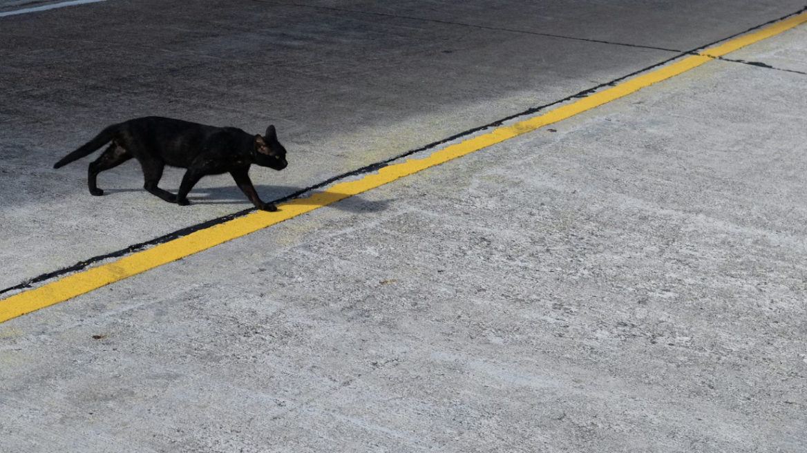 Παρασκευή και 13 σήμερα, γιατί θεωρείται γρουσούζικη ημέρα 