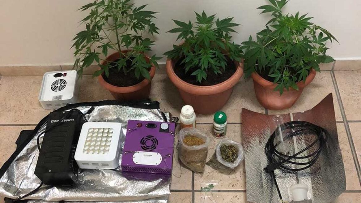 Πρέβεζα: Μέσα σε ντουλάπα έστησε εργαστήριο για να καλλιεργεί χασισόδεντρα