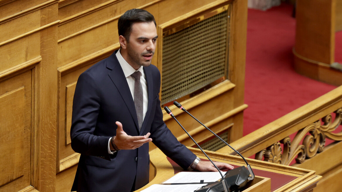 Χριστοδουλάκης: Να εγγυηθούμε την απρόσκοπτη και απροϋπόθετη πρόσβαση των ΑΜΕΑ στην εκπαίδευση