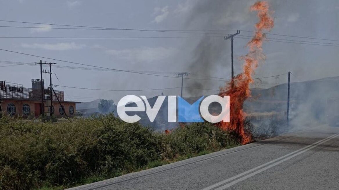 Φωτιά στα Λέπουρα Ευβοίας κοντά σε σπίτια