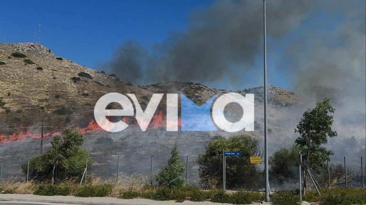 Νέα φωτιά δίπλα στο νοσοκομείο Χαλκίδας