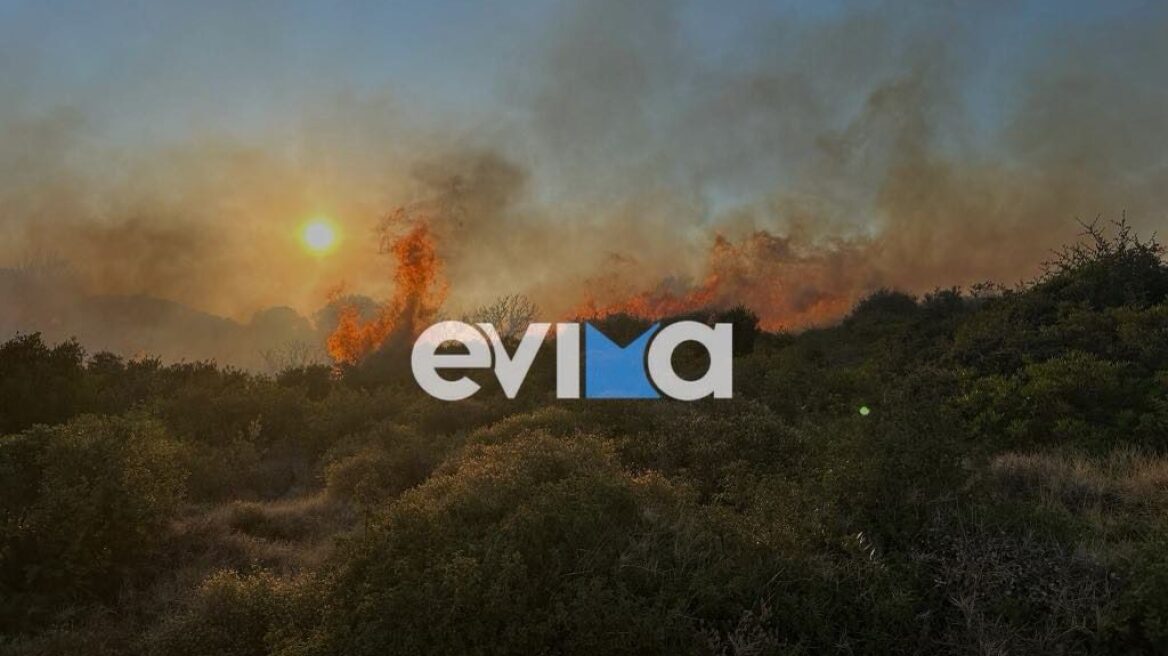 Φωτιά στη νότια Εύβοια στο χωριό Τσακαίοι