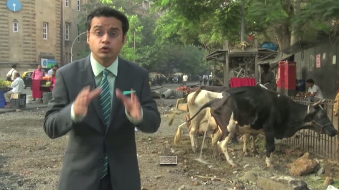 Δείτε τα πιο ξεκαρδιστικά απρόοπτα κατα τη διάρκεια ειδήσεων!