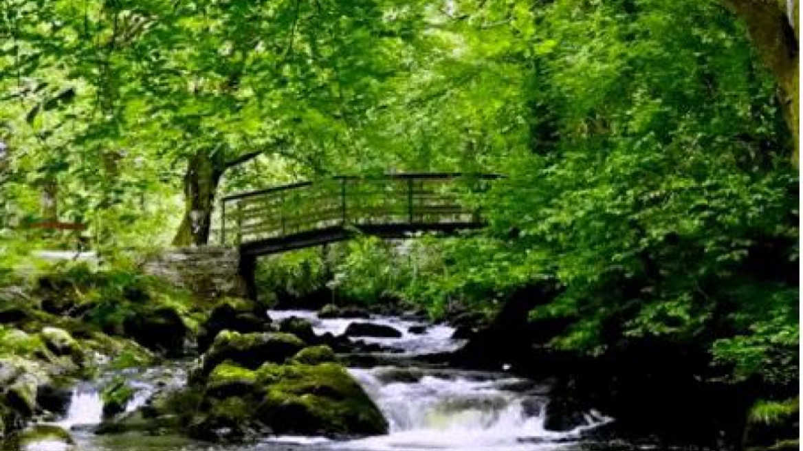 Δείτε τον μικρό καταρράκτη που βοηθά εκατομμύρια ανθρώπους και είναι ο πιο διάσημος του διαδικτύου