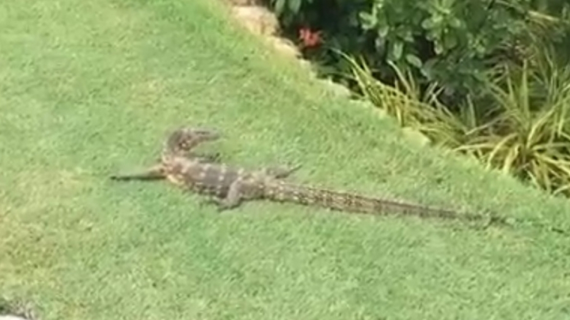 Του φευγάτου η μάνα δεν έκλαψε ποτέ..!