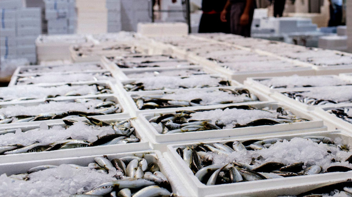 Το... ρίξαμε στη σαρδέλα και τον γαύρο, ελέω κρίσης