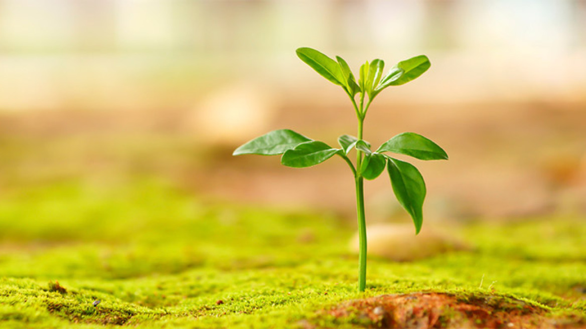 Πώς ωφελεί την ψυχική μας υγεία το να… «προγραμματίζουμε» τη ζωή μας;