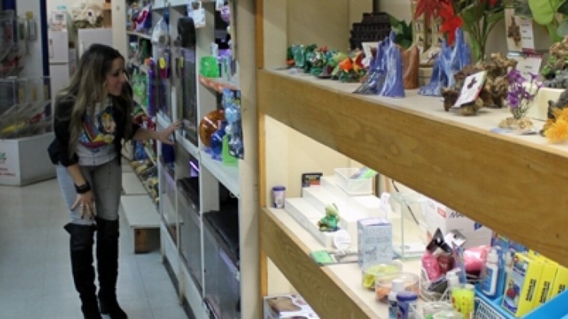 Έρωτας με την πρώτη ματιά για την Καλομοίρα!