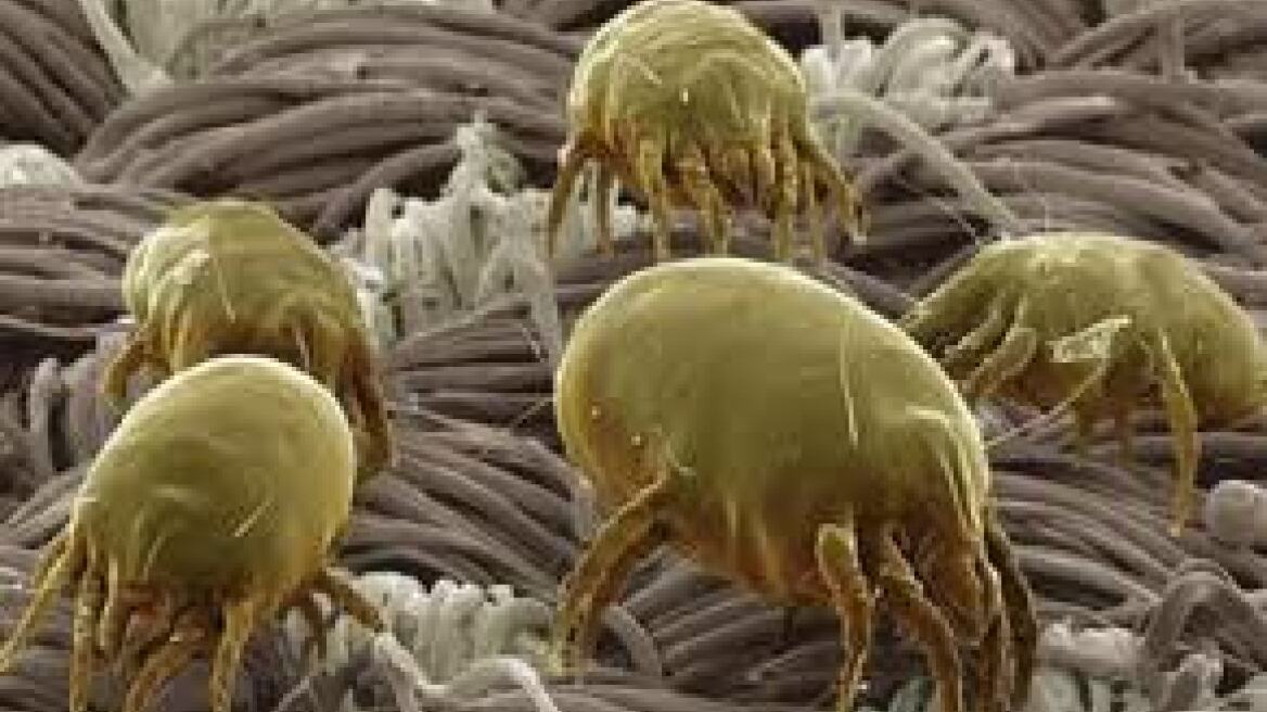 Μας «πιάνουν» στον ύπνο τα μικρόβια!