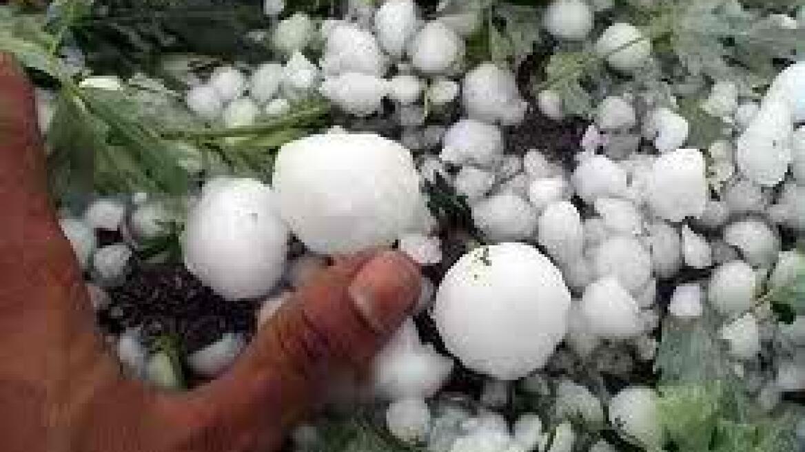 Μεγάλες ζημιές από χαλάζι στην Ελασσόνα