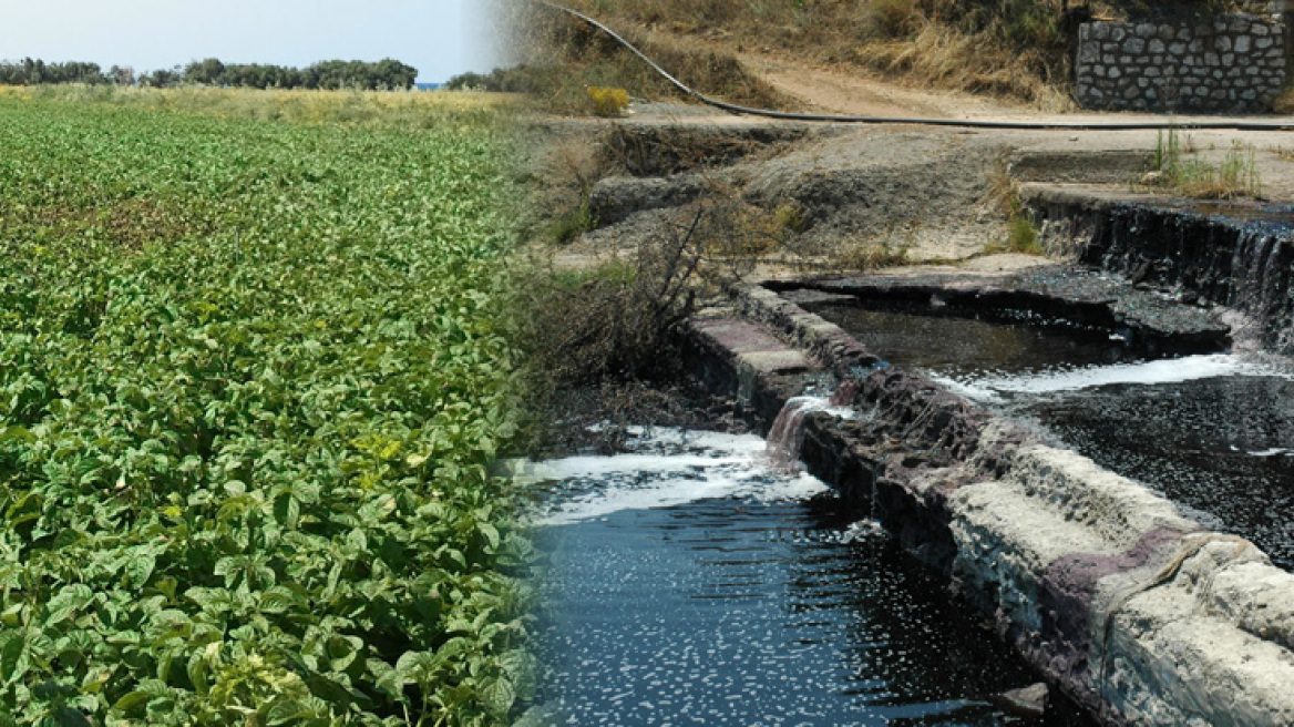 Once again Asopos turns into a swamp - toxic substances found in vegetables