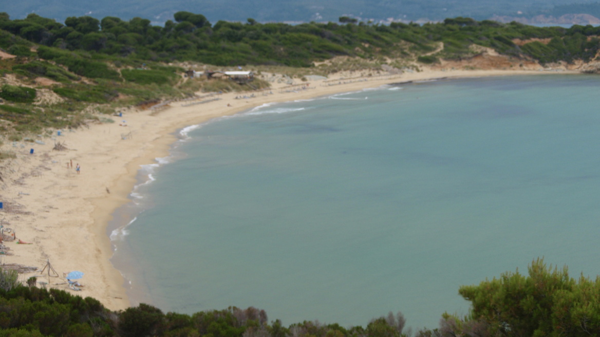 Αφανίζεται δάσος στη Σκιάθο για καυσόξυλα