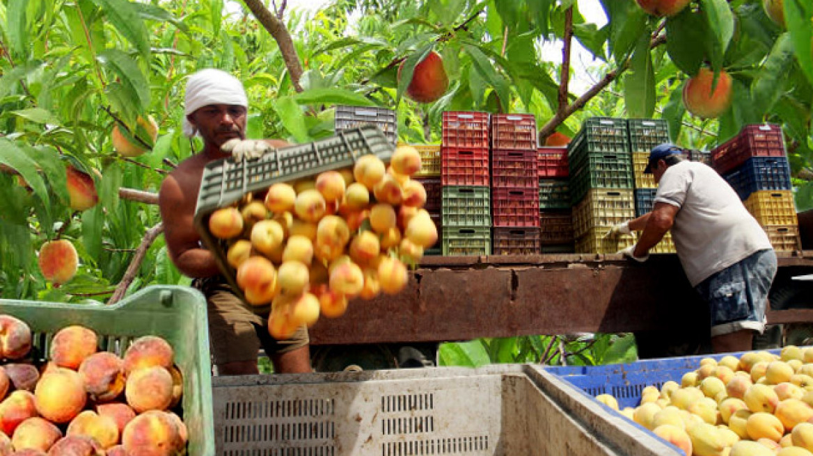 Δουλειές υπάρχουν αλλά οι Ελληνες δεν πάνε!