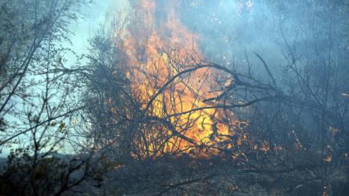 «Κόκκινος συναγερμός» για πυρκαγιές
