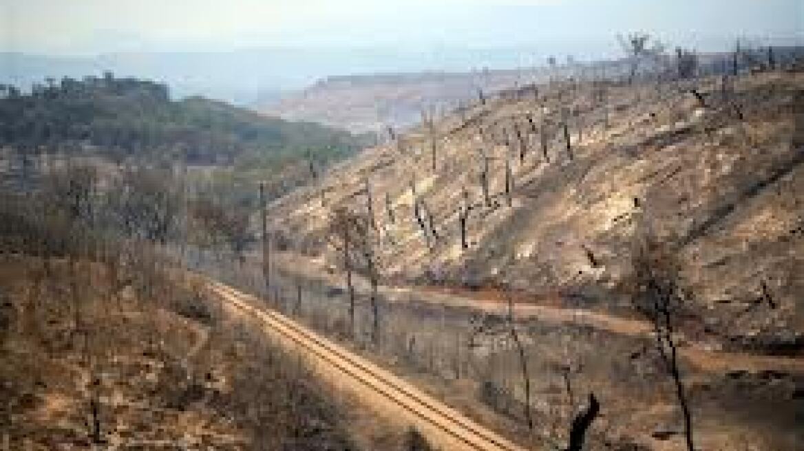 Ξεκινούν οι αποζημιώσεις για τις καταστροφές από την πυρκαγιά στη Χαλκιδική