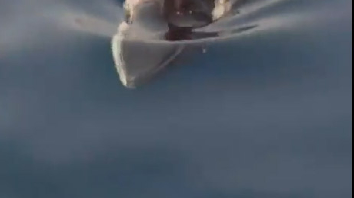 Δείτε σε βίντεο την πτεροφάλαινα που ξεβράστηκε στις ακτές της Κυπαρισσίας  