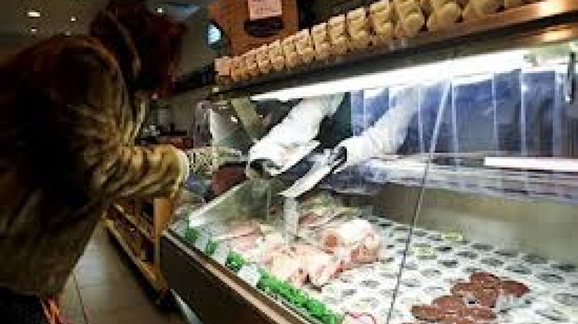 Ολλανδία: Καταδικάστηκε διευθυντής εταιρείας που πουλούσε αλογίσιο κρέας 