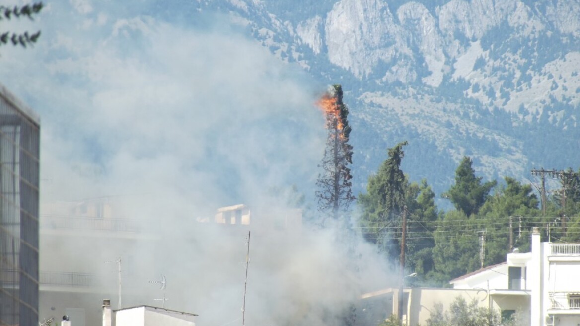 Υπό πλήρη έλεγχο η φωτιά στη Λαμία