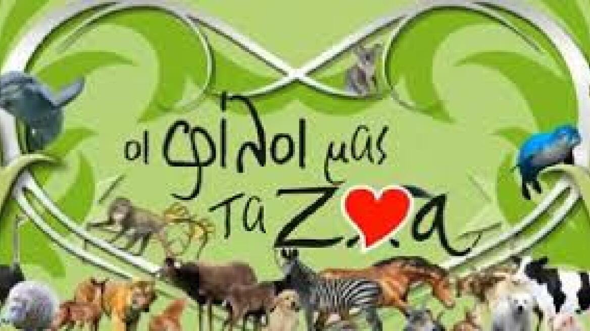 Bραδιά αφιερωμένη στα ζώα και τον εθελοντισμό σήμερα στην Ελευσίνα