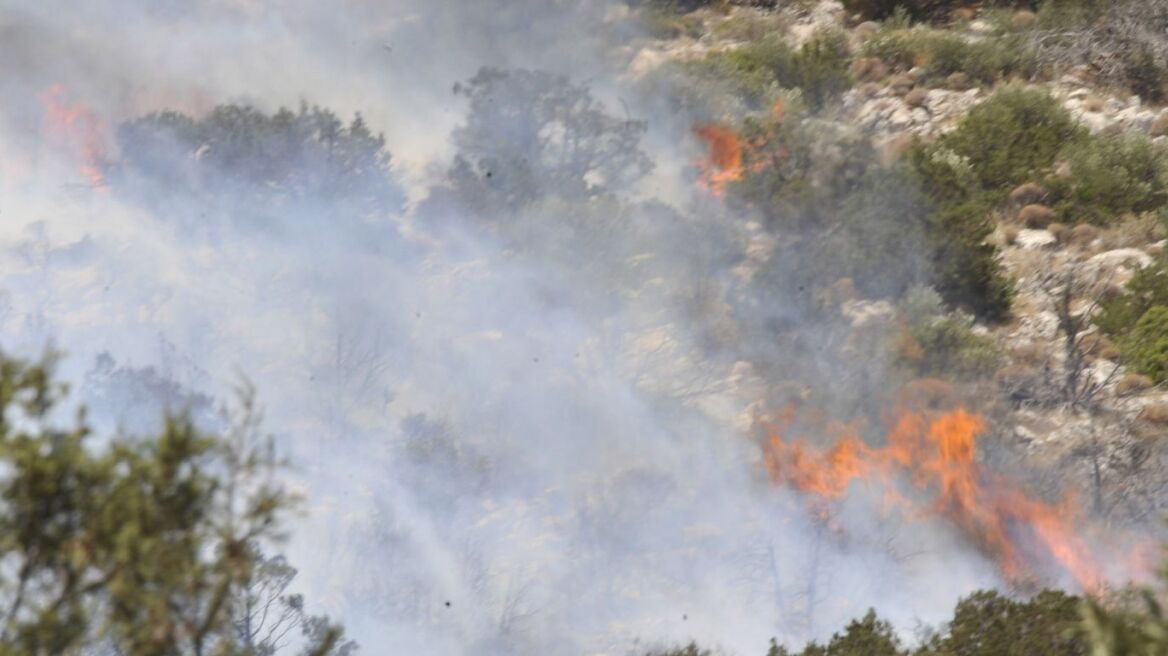 Σε εξέλιξη πυρκαγιά στο Βαθύλακκο Θεσσαλονίκης 