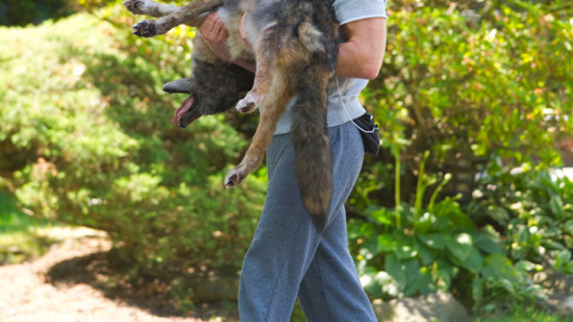 Σοκ! O Justin Theroux  κρατάει ένα νεκρό σκύλο!