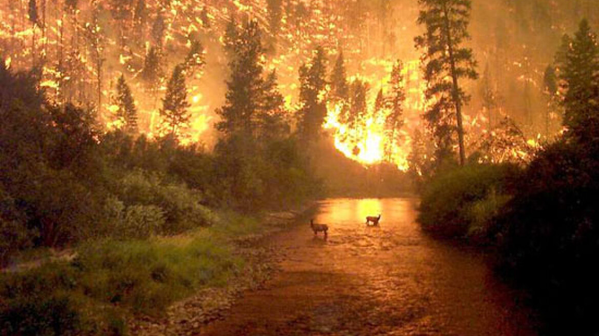 Σε επιφυλακή για εκδήλωση πυρκαγιών τη Δευτέρα 