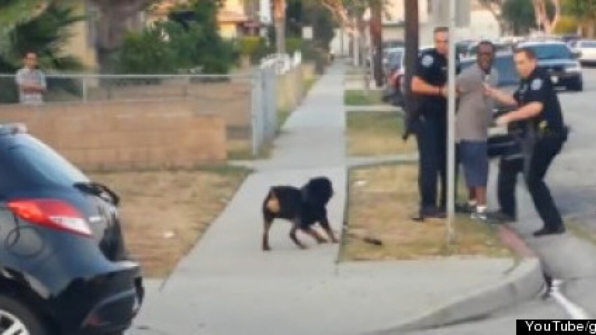 Σοκ! Αστυνομικοί πυροβόλησαν σκύλο που ήθελε να σώσει το αφεντικό του!