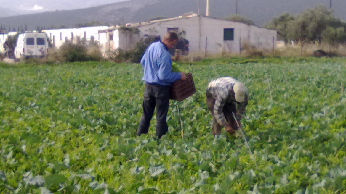 Τα «αγροκτήματα» γίνονται αγροτικές επιχειρήσεις