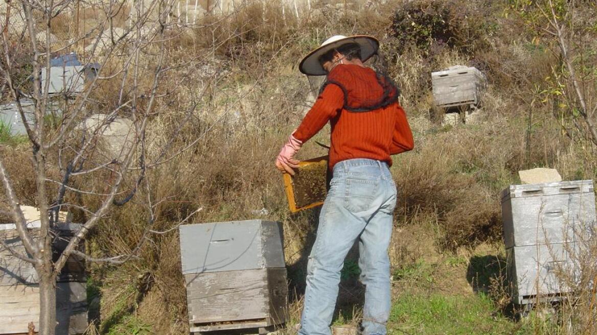 Ειδικό πρόγραμμα ενίσχυσης μελισσοκόμων και κτηνοτρόφων 