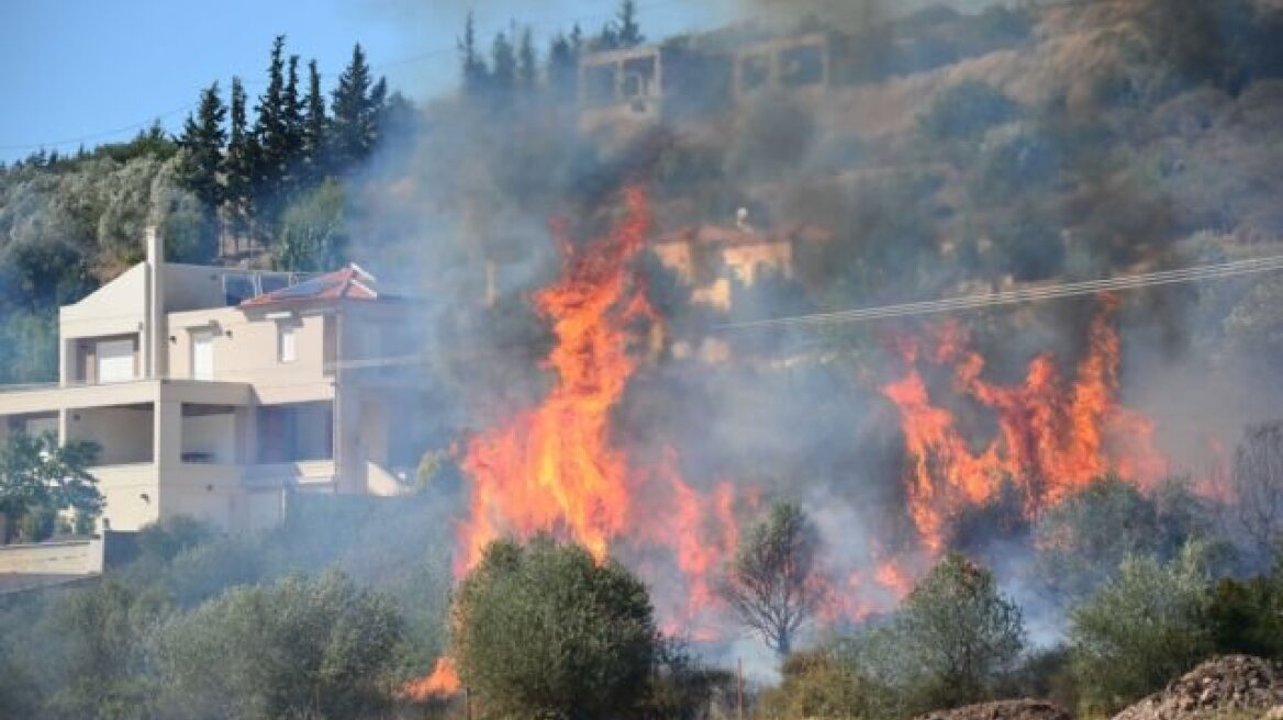  Υπό έλεγχο η φωτιά στο Στεφάνι Κορινθίας