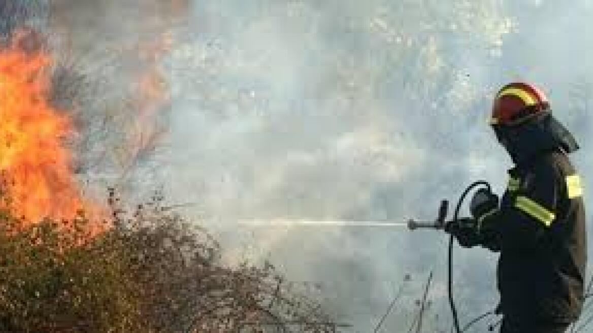  Πυρκαγιά στην Αρκαδία 