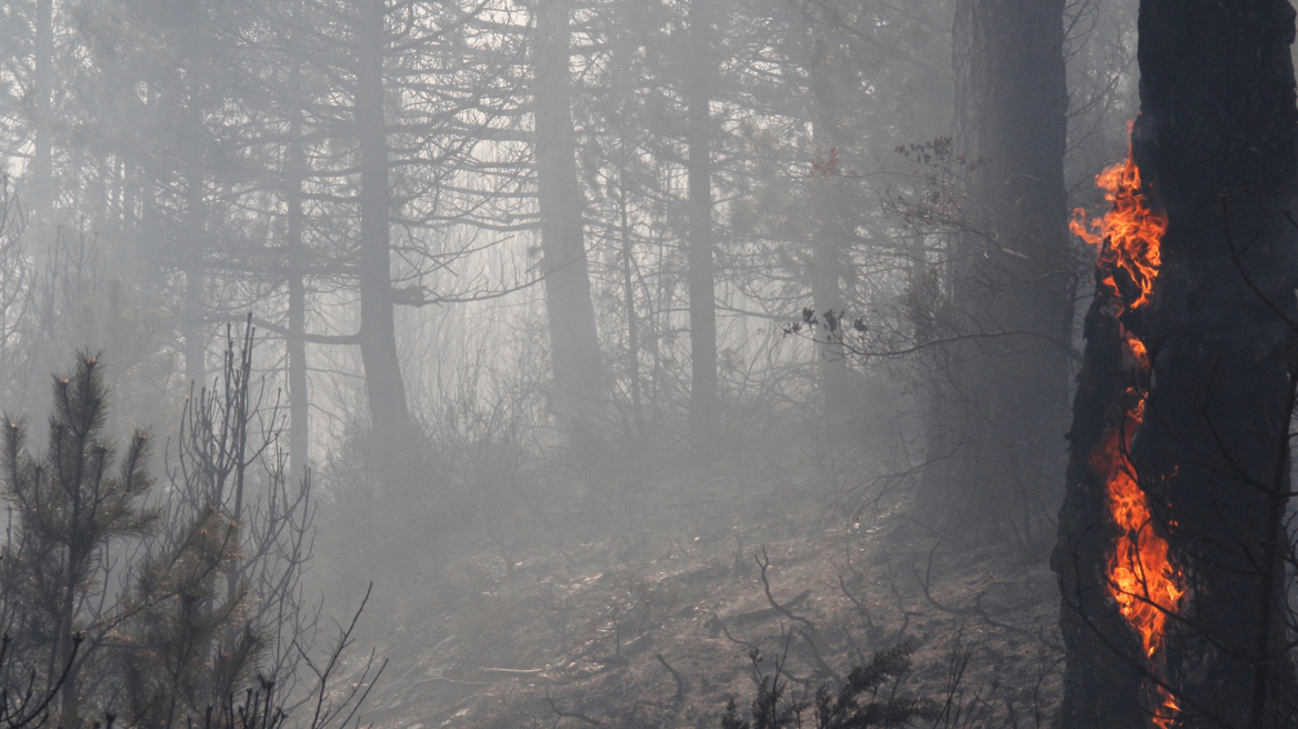 Σε ύφεση οι πυρκαγιές σε Ρόδο και Κρήτη