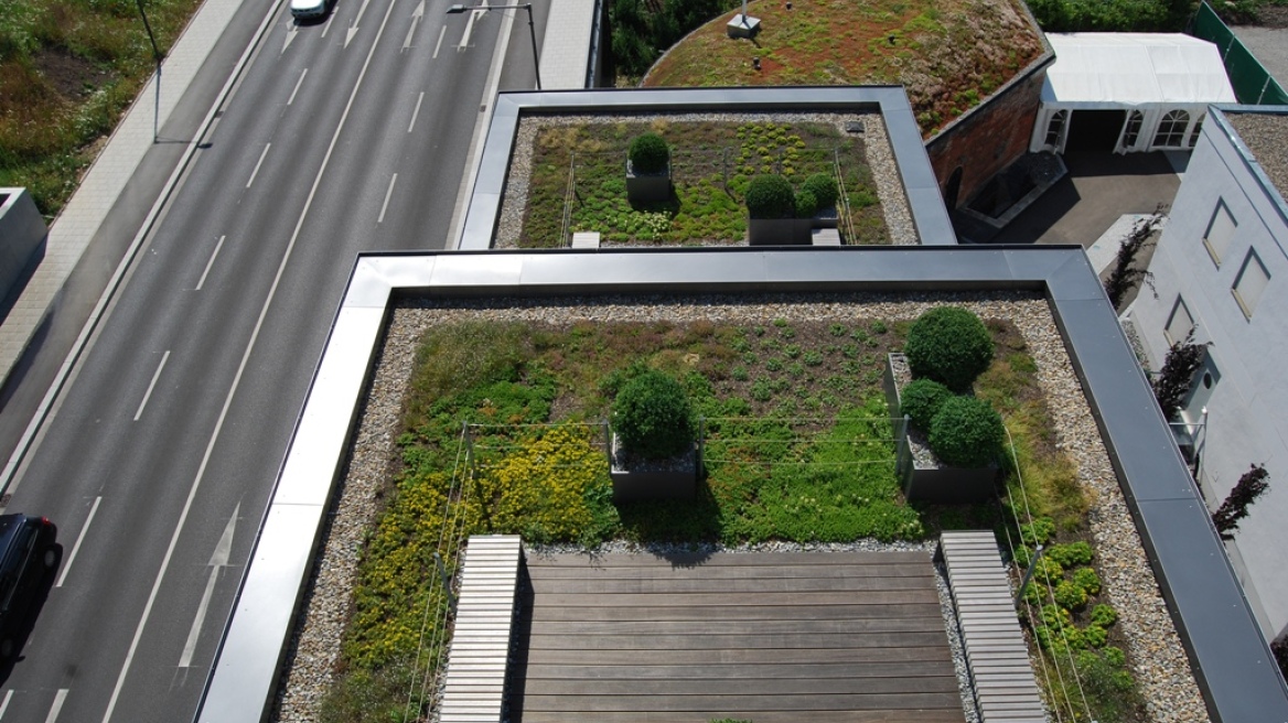 Υλοποιούνται τα πρώτα «πράσινα δώματα» σε 87 σχολεία, νηπιαγωγεία και πνευματικά κέντρα