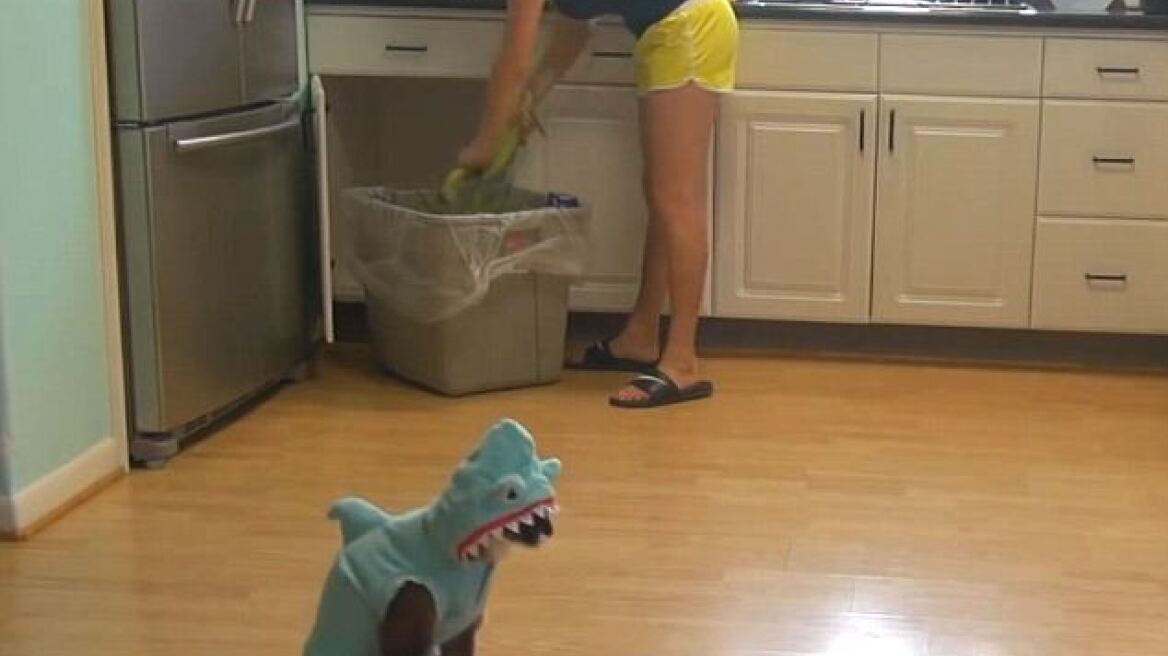 Ένας καρχαρίας κυκλοφορεί μέσα στο… σπίτι της!