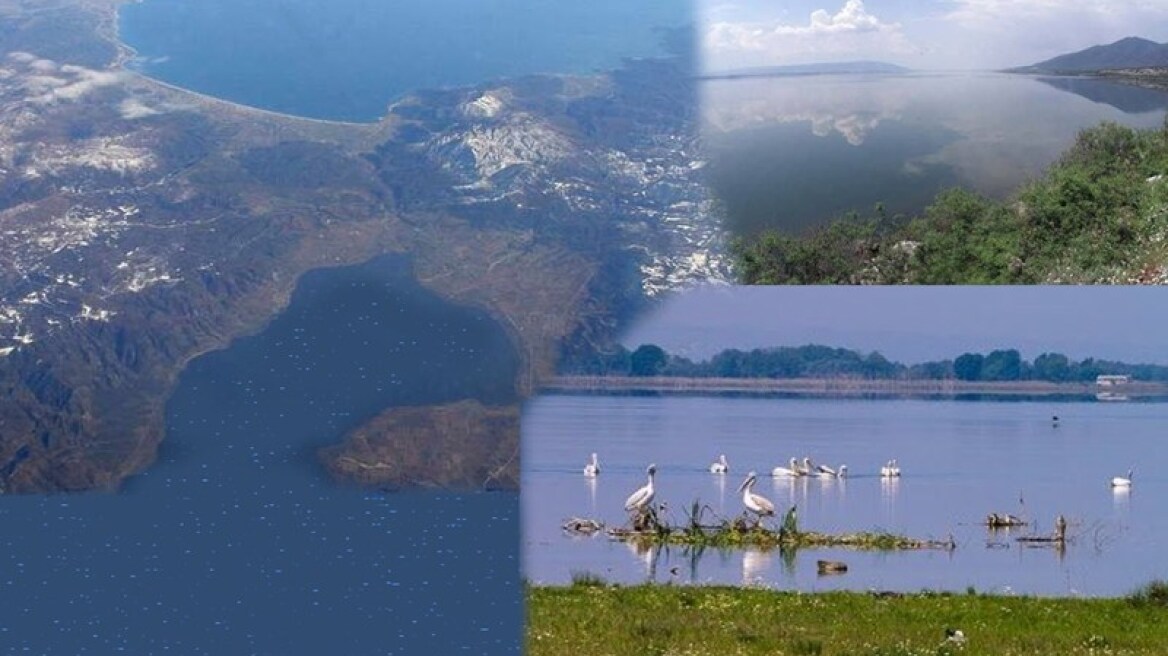 Θεσσαλονίκη: Η μοναδικότητα του υγρότοπου της Κορώνειας-Βόλβης