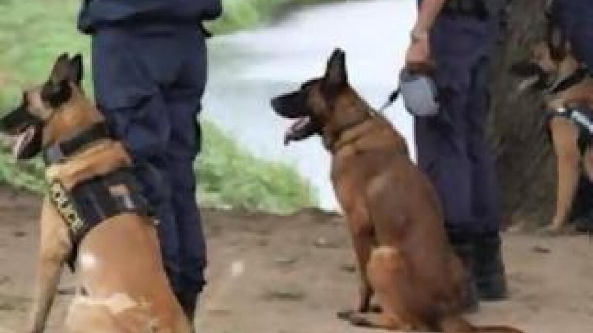 Τα σκυλιά της ΕΛ.ΑΣ. δεν ήταν… λαίμαργα!