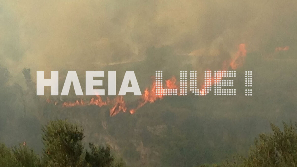 H φωτιά στην περιοχή Κλινδιά στην Ηλεία απειλεί το δάσος της Φολόης