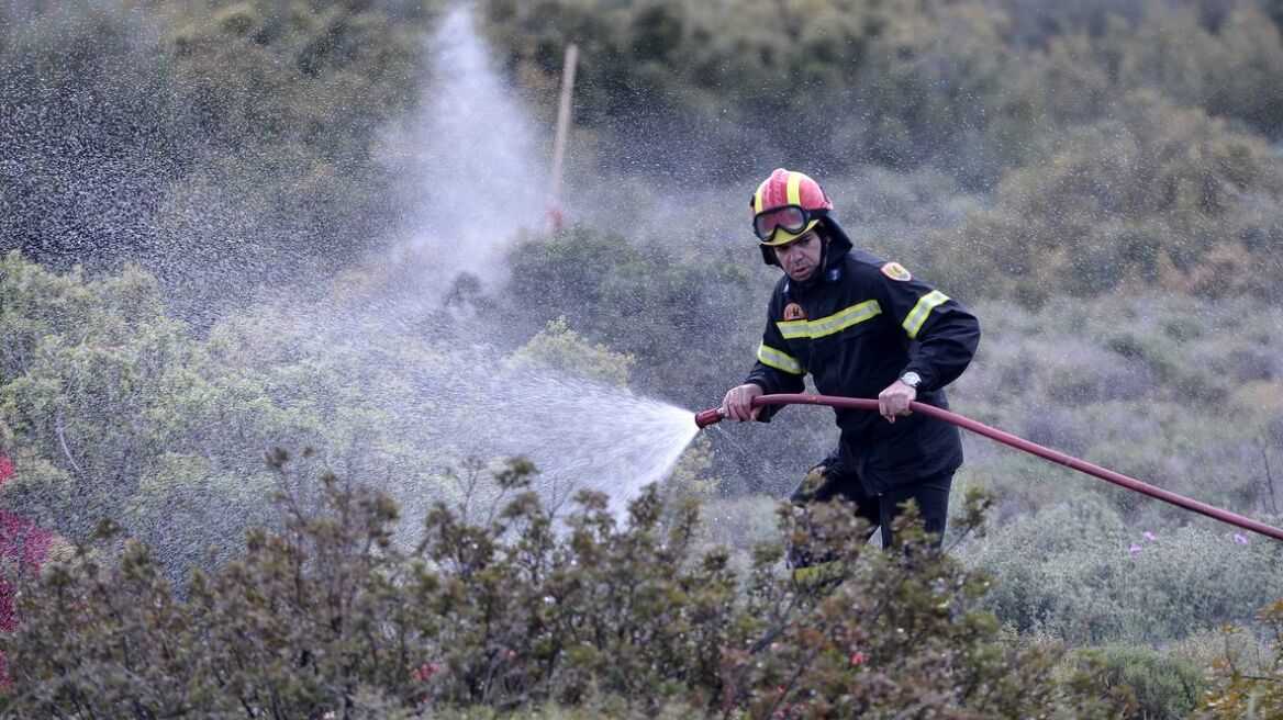 Θεσσαλονίκη: Υπό πλήρη έλεγχο η φωτιά στην Ασπροβάλτα